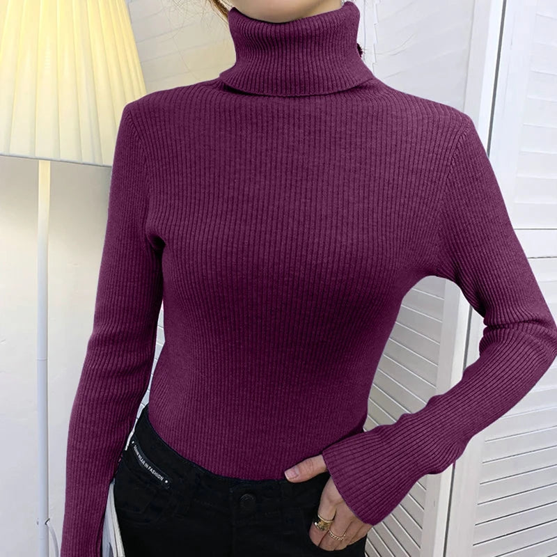 Autumn Winter Turtleneck Jumpers - Cozy & Chic