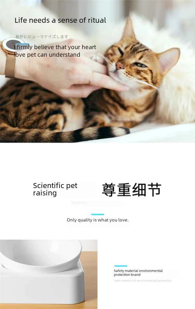 Elevated Double Bowl for Cat and Dog Food with Water Holder