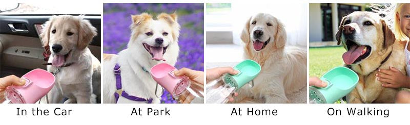 VaultHaus Portable Dog Water Bottle in pink and green used for dogs in car park home and walking
