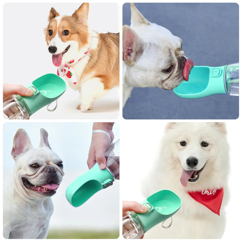 VaultHaus Portable Dog Water Bottle being used by multiple dogs for easy outdoor hydration