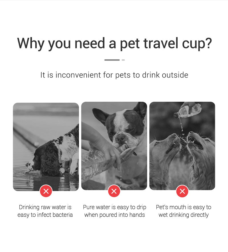 Images showing the challenges of giving pets water outside, promoting a portable dog water bottle for convenience
