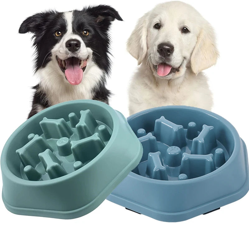VaultHaus slow feeder Anti-choking dog bowl in blue designed for safe and fun meal times
