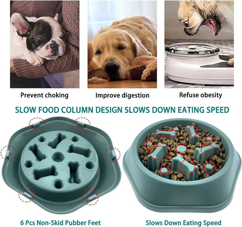 VaultHaus slow feeder Anti-choking dog bowl designed to prevent choking and improve digestion in pets