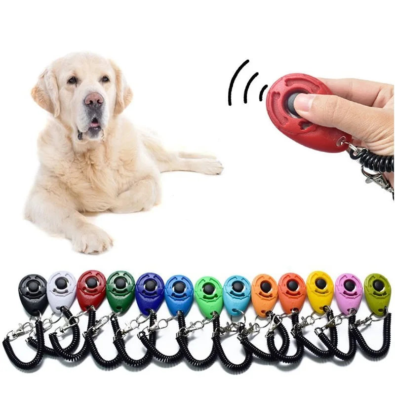 Colorful VaultHaus dog training clicker in hand with a golden retriever in the background