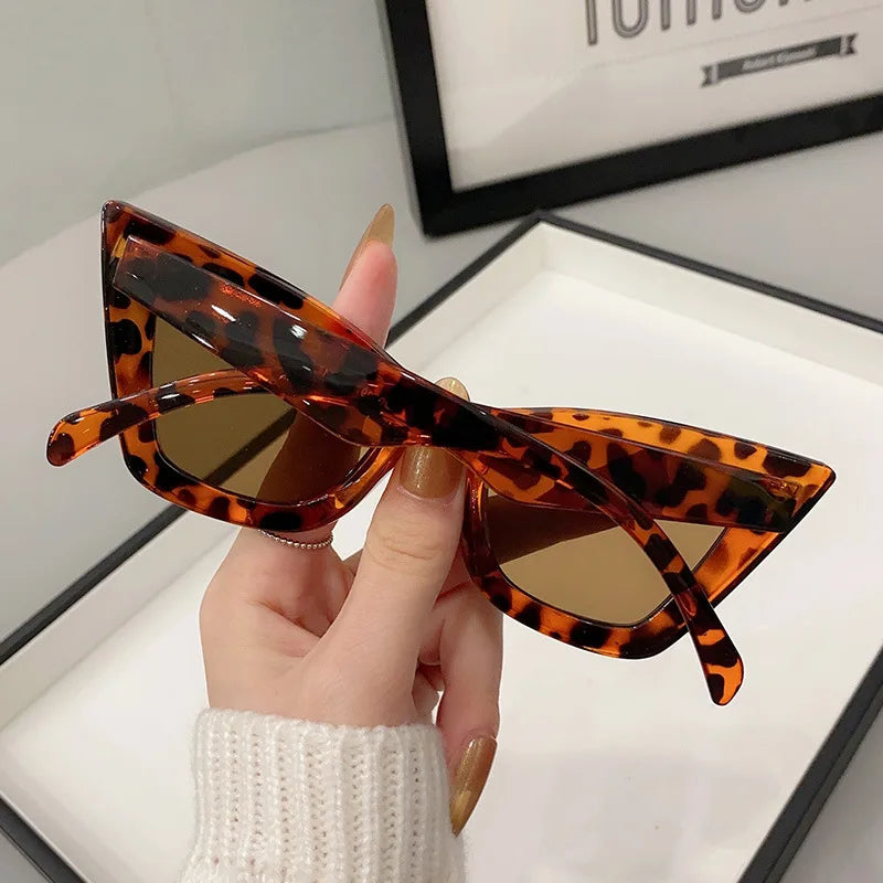 VaultHaus vintage cat eye sunglasses for women in tortoiseshell pattern held by hand with beige nails