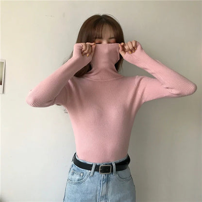 Women's Winter Fall Turtleneck Sweater Knitted Soft Pullovers Cashmere Jumpers Basic Soft Sweaters For Women 2024 Autumn Winter