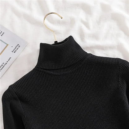 Women's Winter Fall Turtleneck Sweater Knitted Soft Pullovers Cashmere Jumpers Basic Soft Sweaters For Women 2024 Autumn Winter