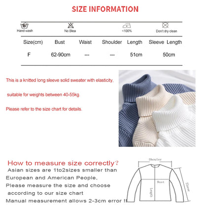 Women's Winter Fall Turtleneck Sweater Knitted Soft Pullovers Cashmere Jumpers Basic Soft Sweaters For Women 2024 Autumn Winter