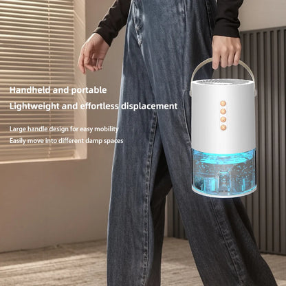 Smart Air Dehumidifier for Home Office - Negative Ion Mold Removal