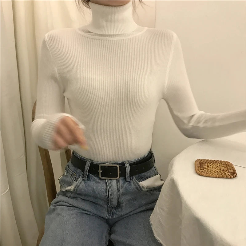 Women's Winter Fall Turtleneck Sweater Knitted Soft Pullovers Cashmere Jumpers Basic Soft Sweaters For Women 2024 Autumn Winter