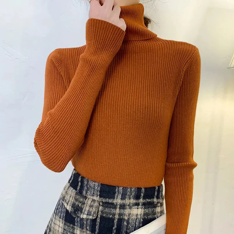 Women's Winter Fall Turtleneck Sweater Knitted Soft Pullovers Cashmere Jumpers Basic Soft Sweaters For Women 2024 Autumn Winter