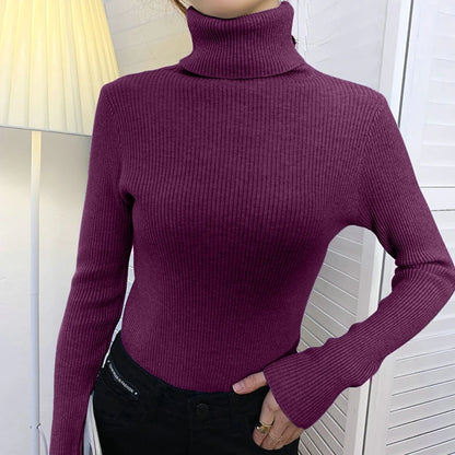 Women's Winter Fall Turtleneck Sweater Knitted Soft Pullovers Cashmere Jumpers Basic Soft Sweaters For Women 2024 Autumn Winter