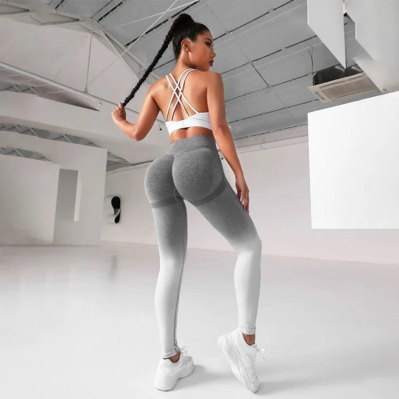 VaultHaus High Waist Seamless Leggings in Gray for Comfortable and Stylish Activewear