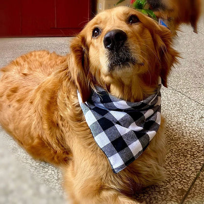 Golden Retriever wearing a stylish black and white checkered large dog bandana, perfect for pets
