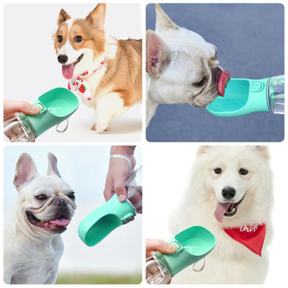 VaultHaus Portable Dog Water Bottle being used by multiple dogs for easy outdoor hydration
