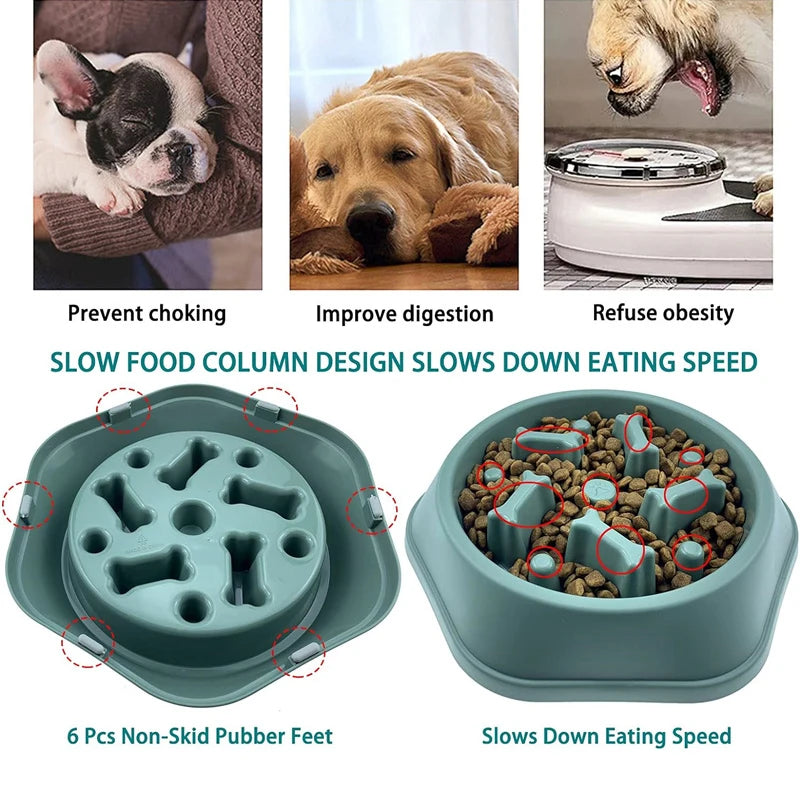 VaultHaus slow feeder Anti-choking dog bowl designed to slow down eating speed and improve digestion