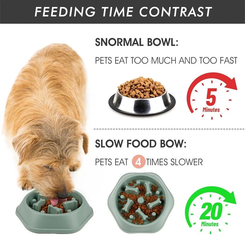 Comparison of feeding time for normal bowl and slow feeder Anti-choking dog bowl for healthier eating